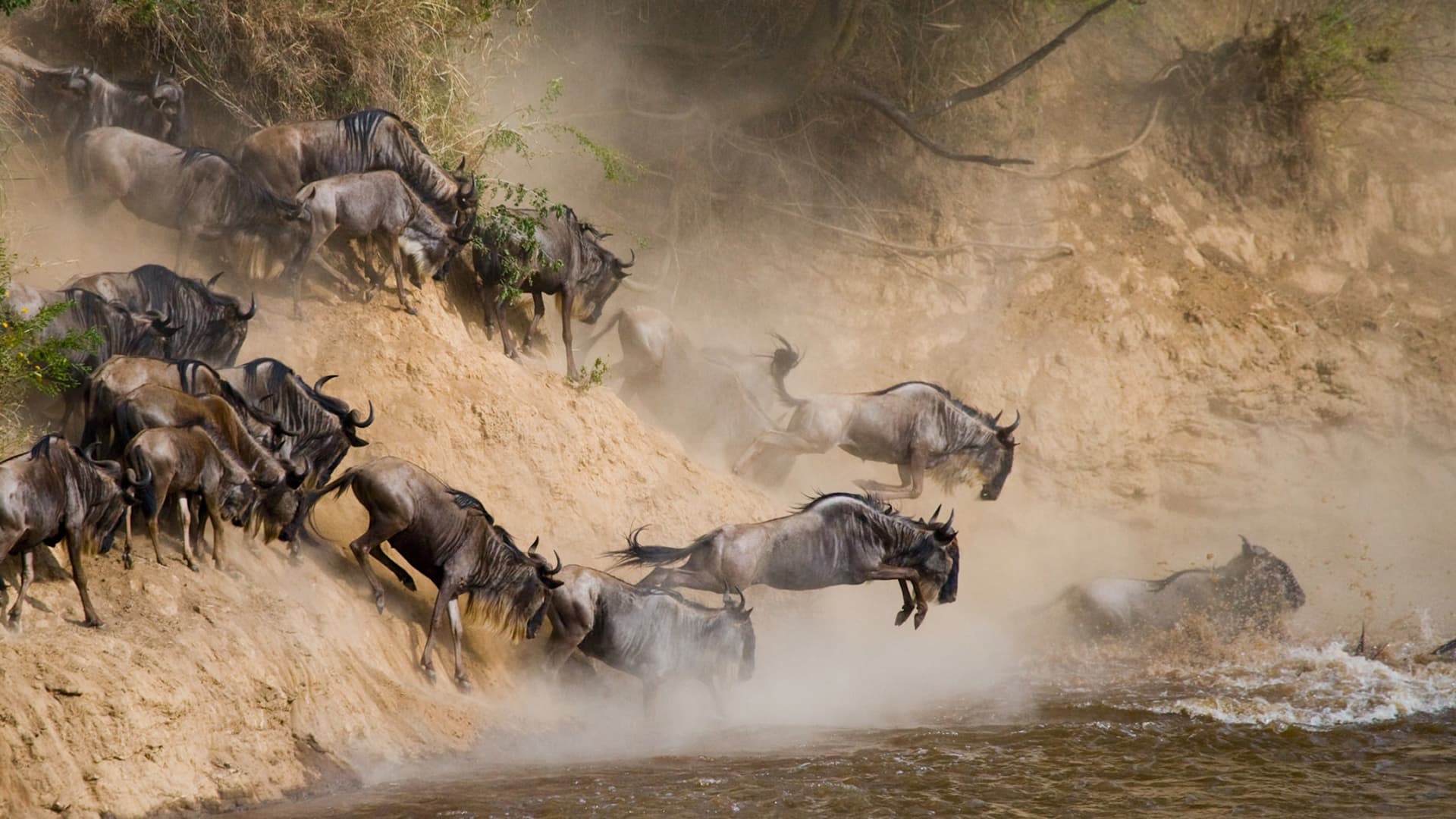 What the data really shows