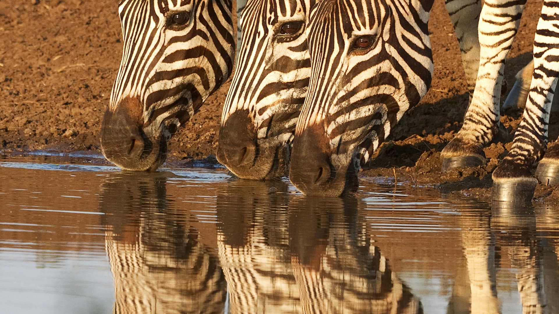 Can we calm the hunting debate?